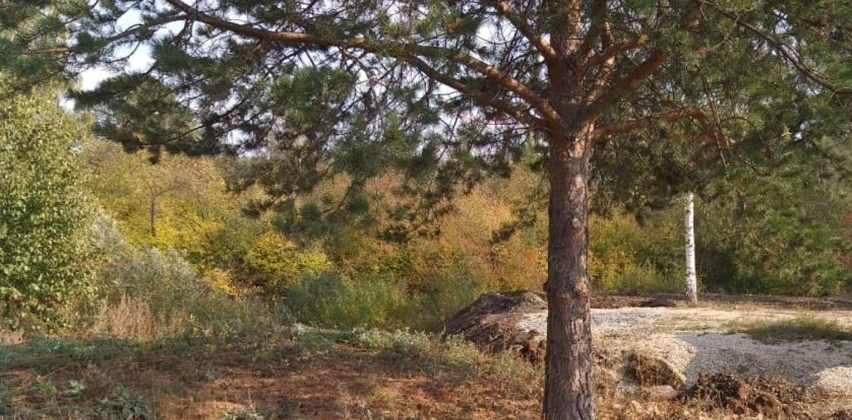 дом г Дегтярск п Чусовая ул Набережная 24 фото 8