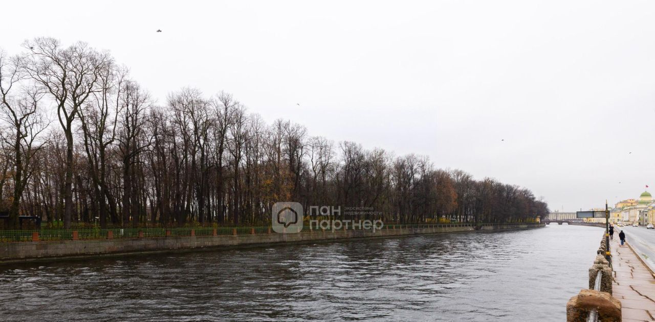 квартира г Санкт-Петербург метро Гостиный Двор ул Пестеля 5 фото 20