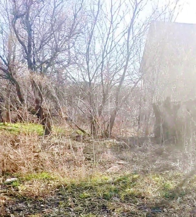 земля г Волгоград р-н Дзержинский снт Золотая Осень ул Восточная фото 3