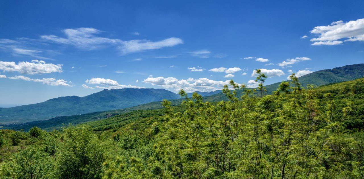 дом г Алушта с Лучистое фото 5