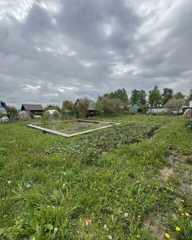 снт Катрасьский 181, Чебоксары фото