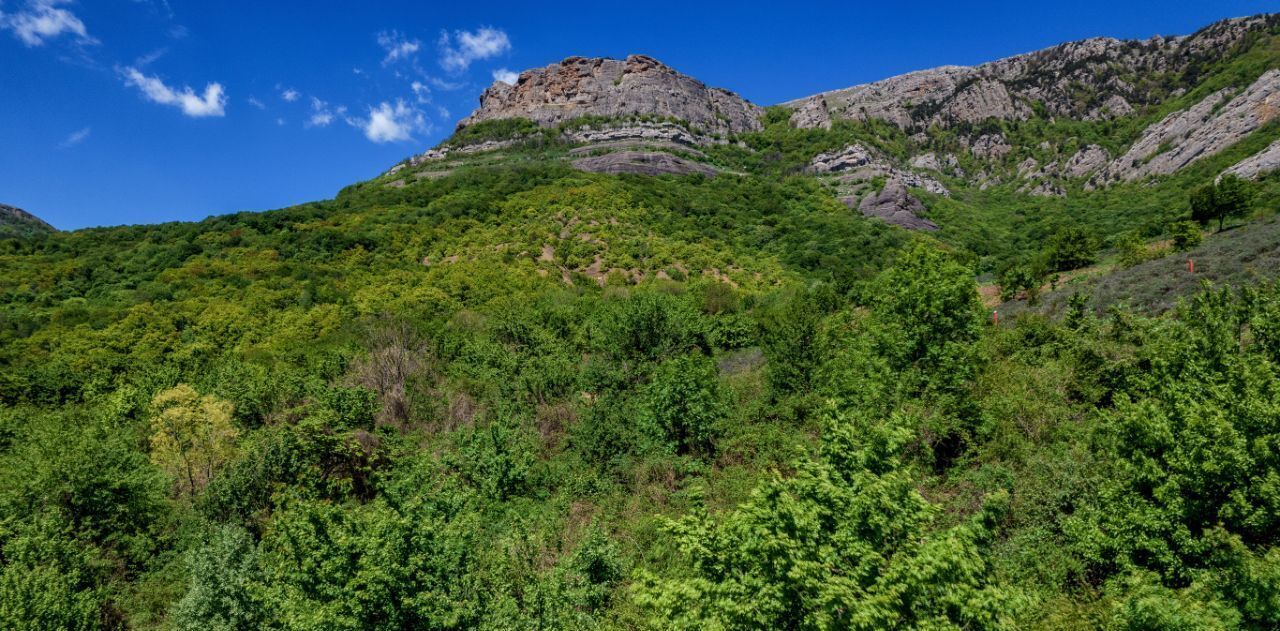 дом г Алушта с Лучистое фото 13