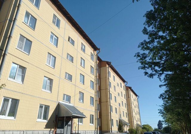 с Никольское ул Меньковская 13 Войсковицы фото