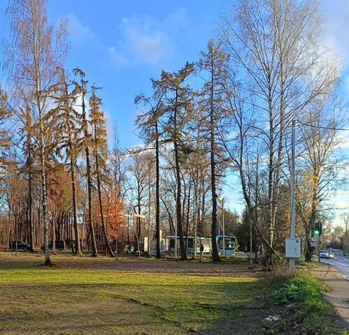офис д Новая метро Девяткино тер. фото