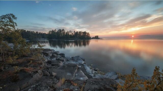 земля Ленинградская область, Кузнечное фото
