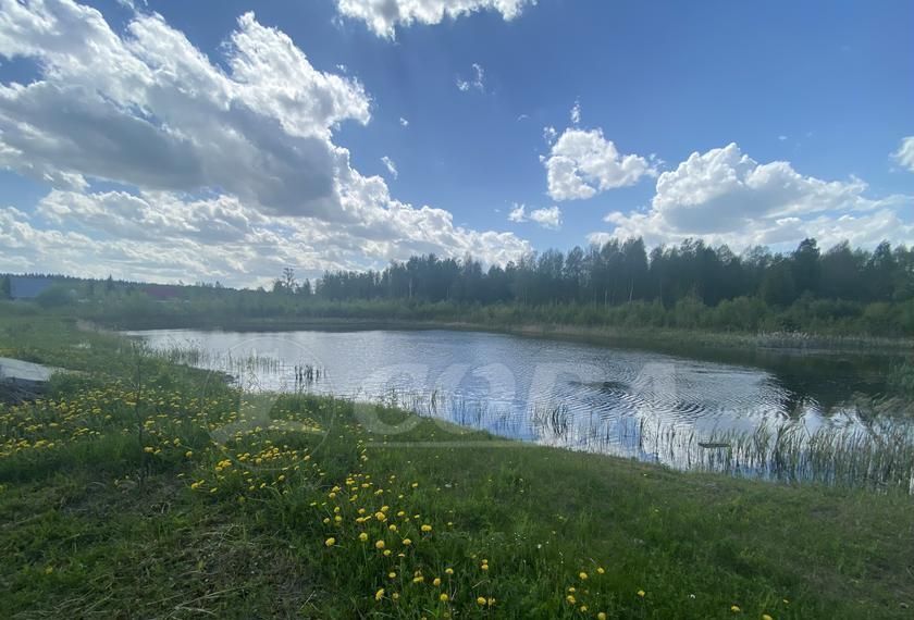 земля г Тюмень тер СК Муравушка ул № 1 1 фото 12