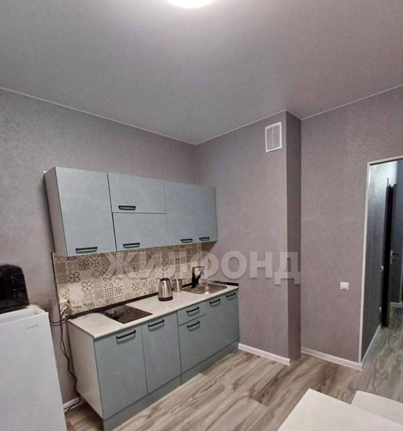 квартира г Новосибирск мкр Закаменский Берёзовая роща 16 фото 2