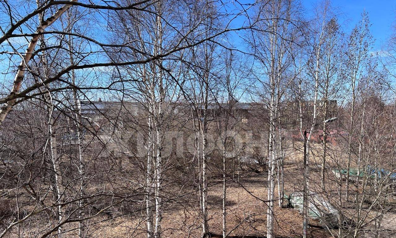 квартира г Архангельск Соломбала пр-кт Никольский 126 фото 12
