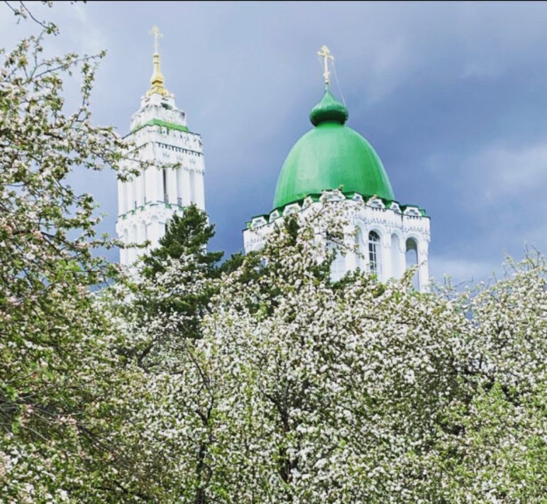 квартира г Москва п Филимонковское ЖК «Марьино Град» Филатов Луг, ул. Жемчужная, 1к 7 фото 16