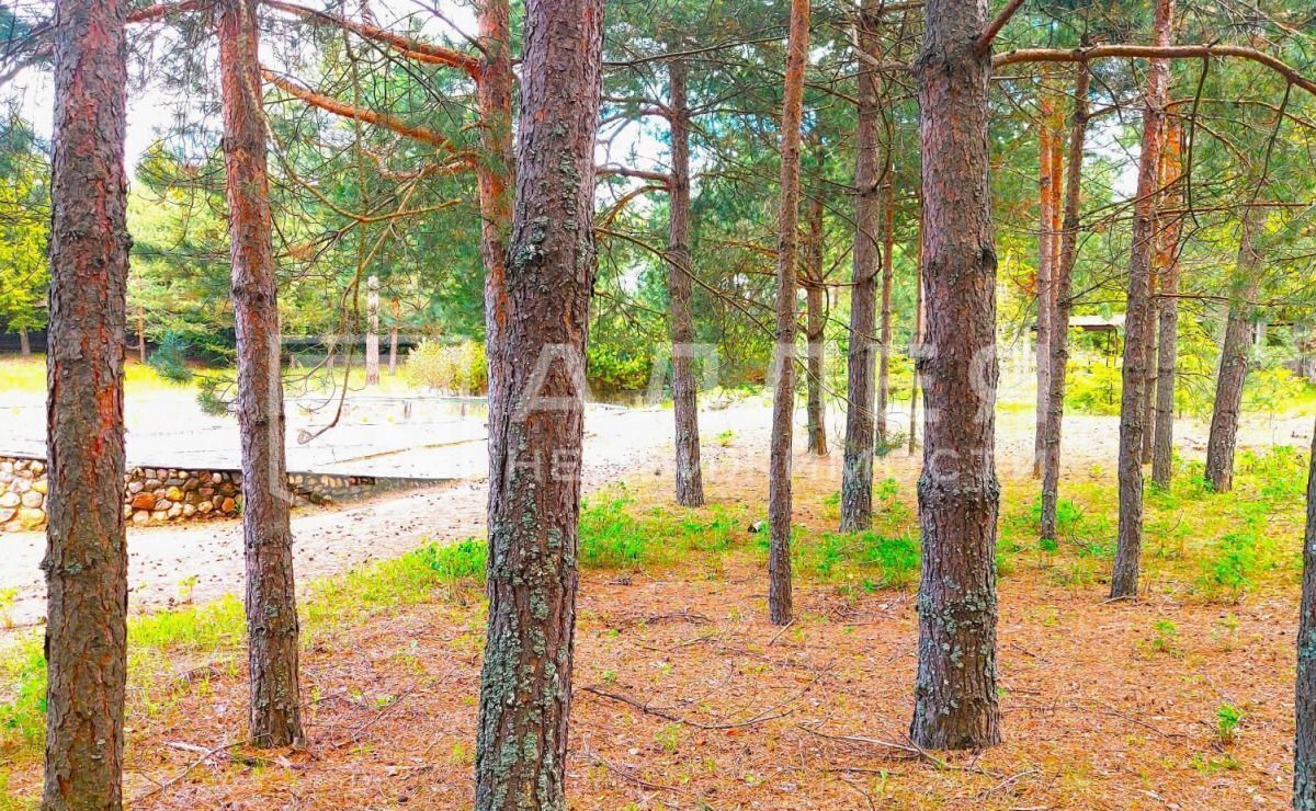 земля г Истра 26 км, КП Красновидово-2, 2, Рождествено, Волоколамское шоссе фото 1