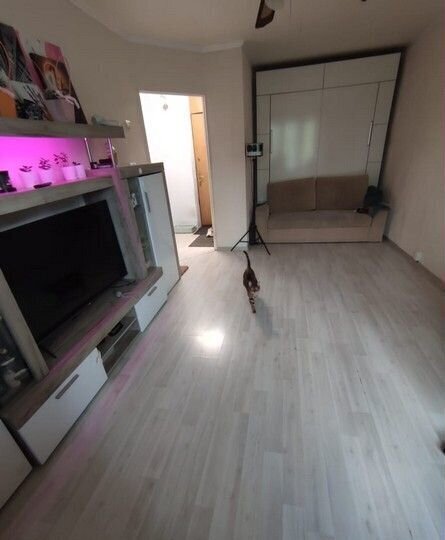квартира г Зеленоград к 347 фото 3