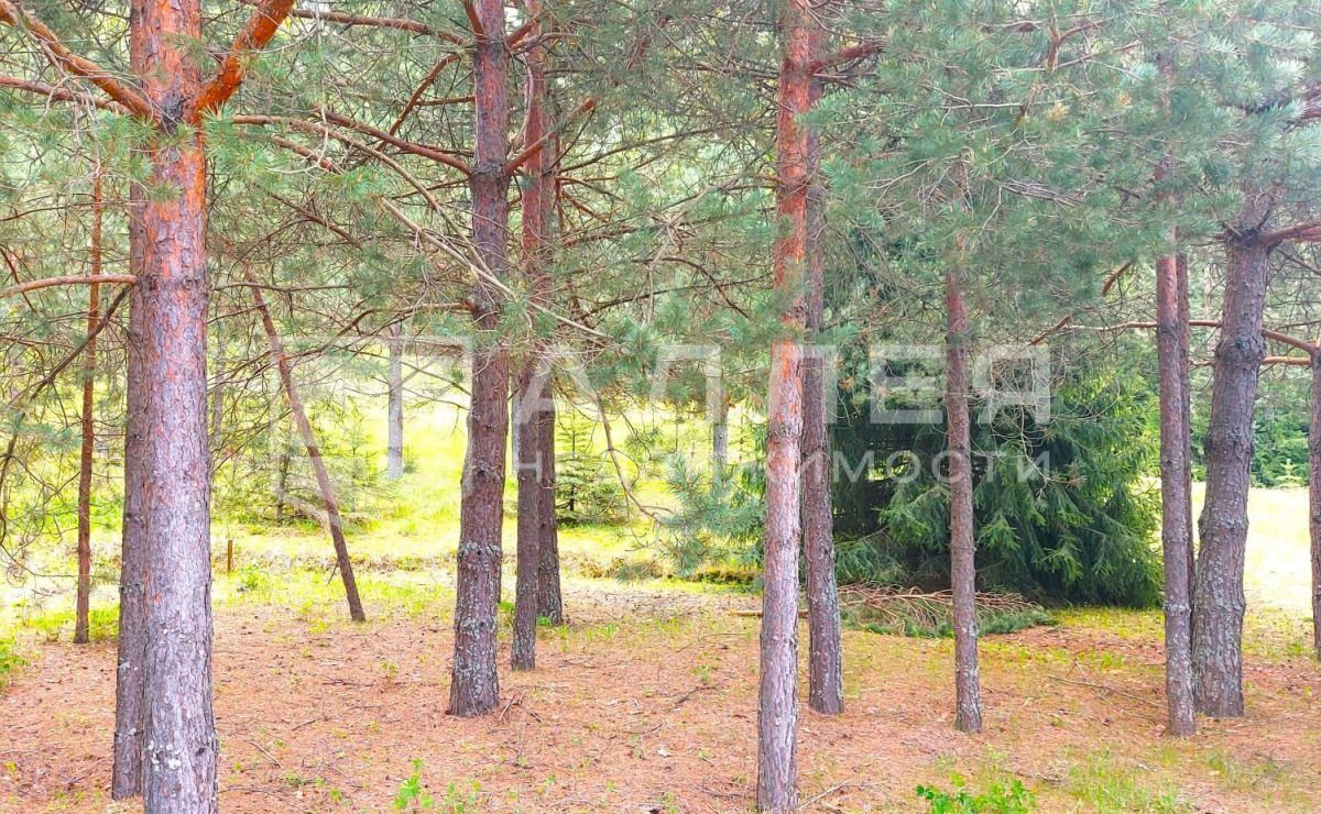 земля г Истра 26 км, КП Красновидово-2, 2, Рождествено, Волоколамское шоссе фото 2