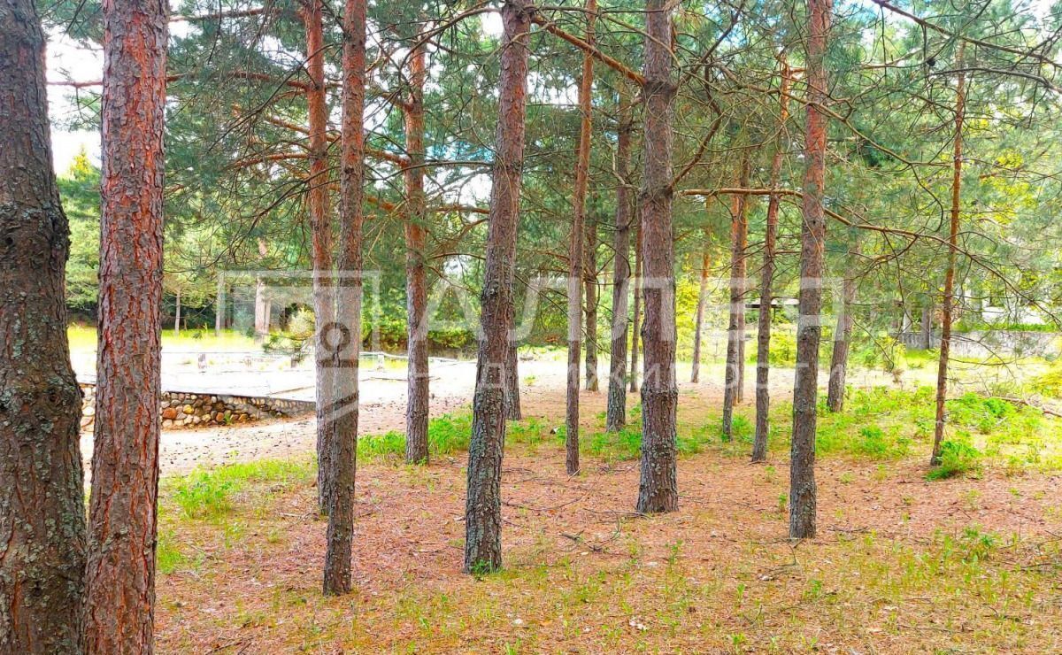 земля г Истра 26 км, КП Красновидово-2, 2, Рождествено, Волоколамское шоссе фото 4