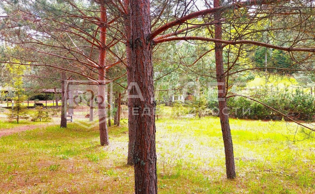 земля г Истра 26 км, КП Красновидово-2, 2, Рождествено, Волоколамское шоссе фото 3