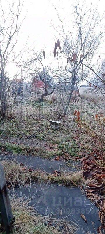 дом р-н Выборгский г Выборг ул Сливовая фото 2