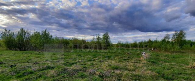земля д Васильевское Ракомское с/пос фото