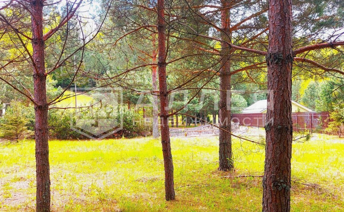 земля г Истра 26 км, КП Красновидово-2, 2, Рождествено, Волоколамское шоссе фото 5