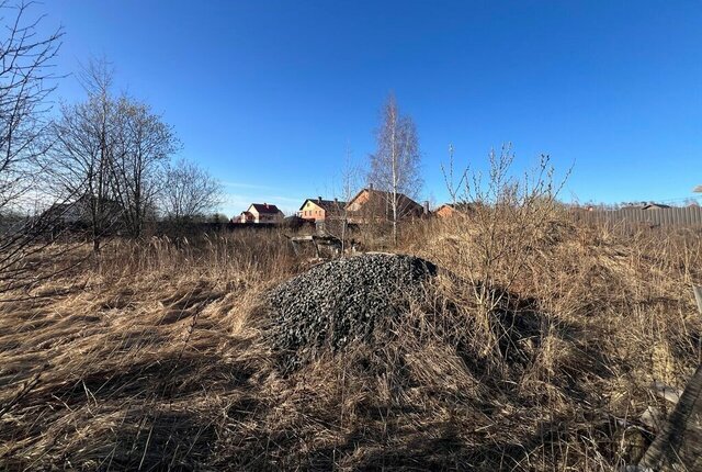муниципальное образование Новоалександровское фото