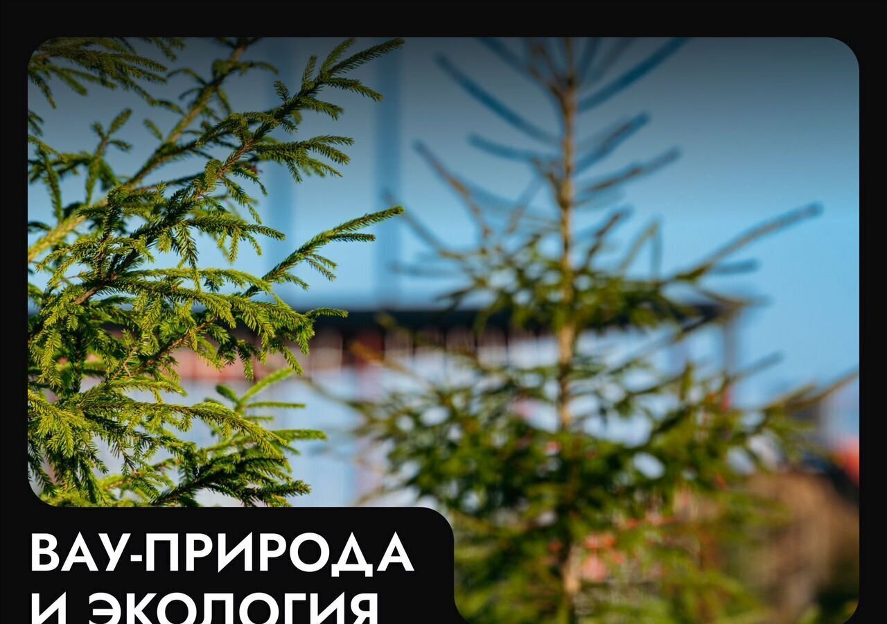 земля г Клин 54 км, эко-посёлок Ели эстейт, Новопетровское, Ленинградское шоссе фото 18