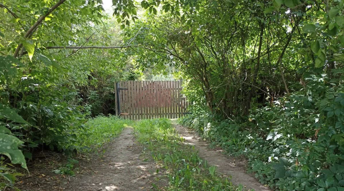 земля г Балашиха д Дятловка Новокосино, 58А фото 16