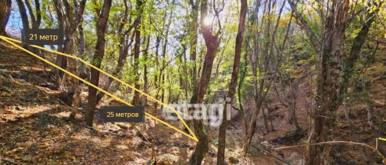 земля г Ялта пгт Голубой Залив ул Славянская фото 1