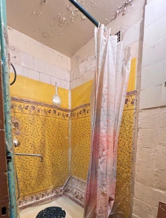 комната г Колпино ул Веры Слуцкой 54 Шушары фото 25