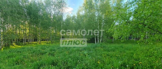 15 км, Лесной Городок, Можайское шоссе фото