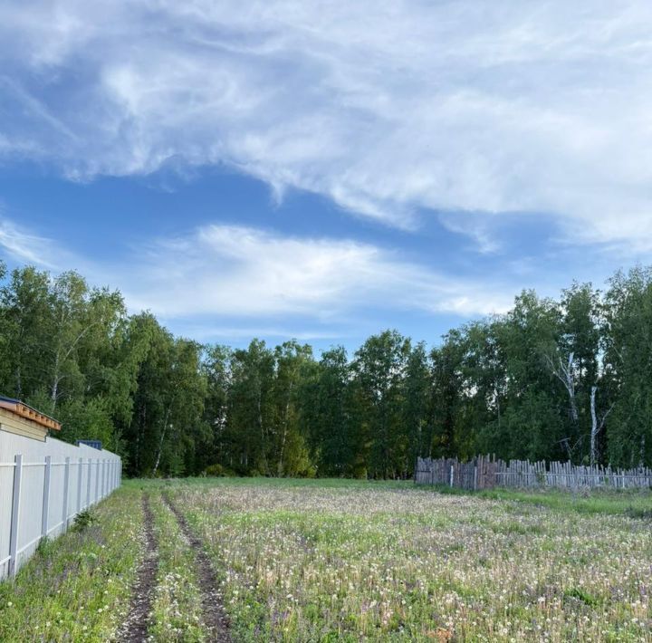 земля г Барнаул п Березовка ул Луговая фото 7