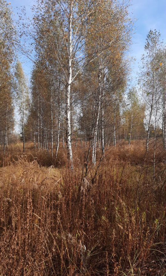 земля г Липецк р-н Правобережный садоводческое некоммерческое товарищество Жёлтые Пески, 369 фото 6