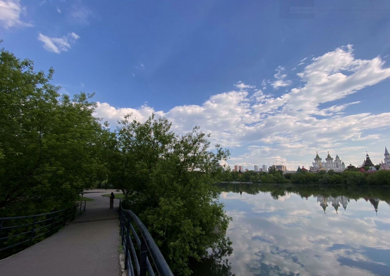 квартира г Москва метро Измайловская проезд Заводской 11 фото 26