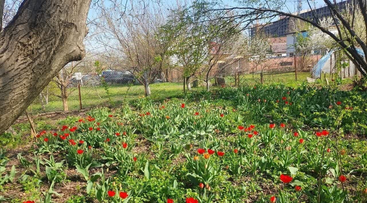дом г Краснодар р-н Центральный фото 3
