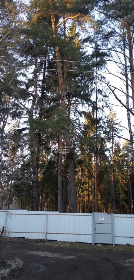 дом г Сергиев Посад снт Дружба-1 11 км, 1, г. о. Красногорск, Волоколамское шоссе фото 13
