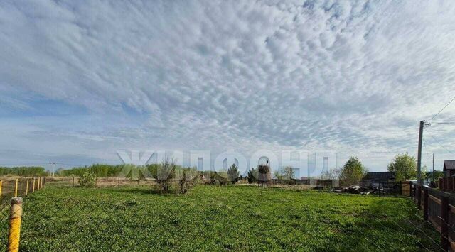 снт Нефтяник ул. Дачная фото