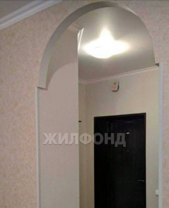 квартира г Новосибирск ул Николая Грицюка 5 Площадь Маркса фото 4