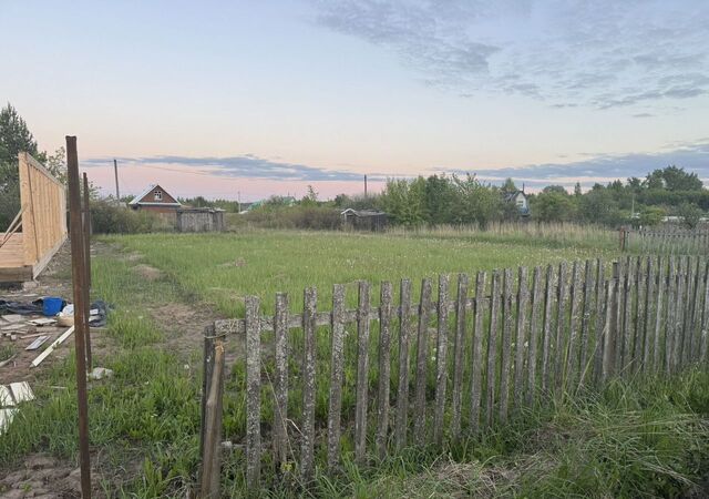 сад Луговое 561 фото