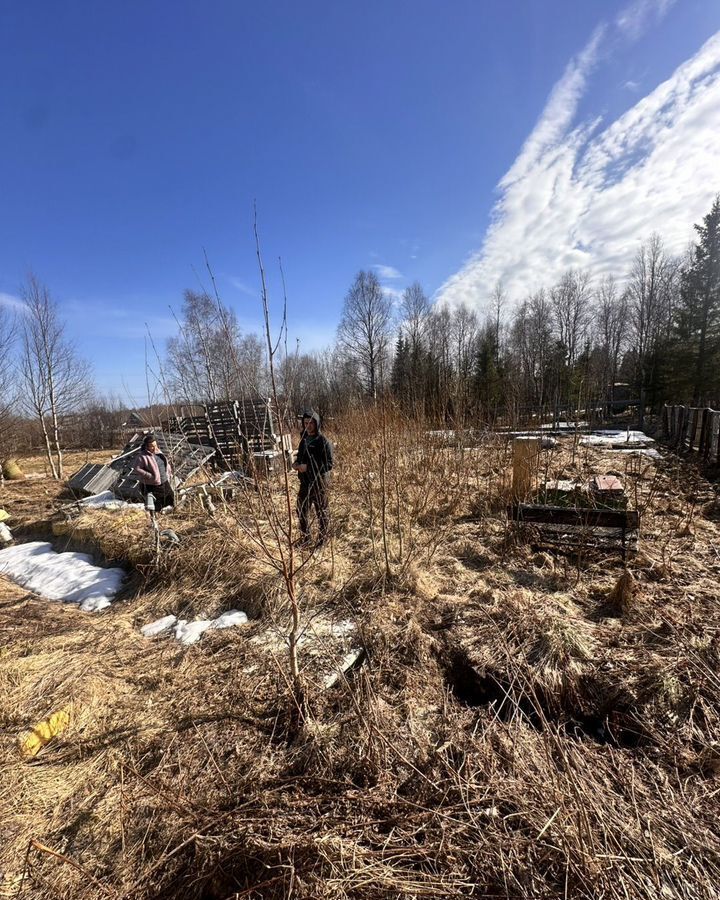 земля г Апатиты снт Автомобилист-3 фото 12