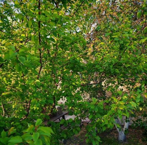 снт Изобилие ул Подгорная 29 фото
