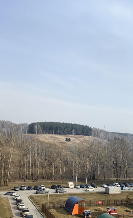 квартира г Новосибирск Речной вокзал ул Заречная 27 микрорайон «Весенний» фото 9