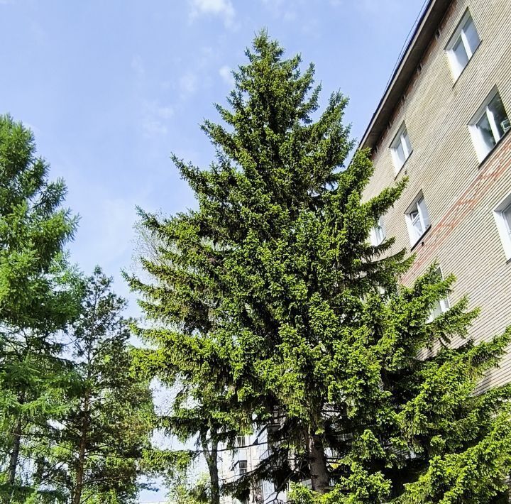 квартира г Бердск ул Ленина 108 фото 16