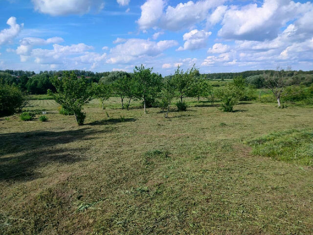 земля с Григорьевское фото