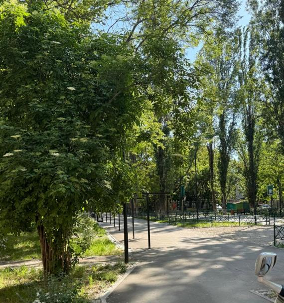 квартира г Симферополь ул Павленко ул Гоголя 72 фото 2