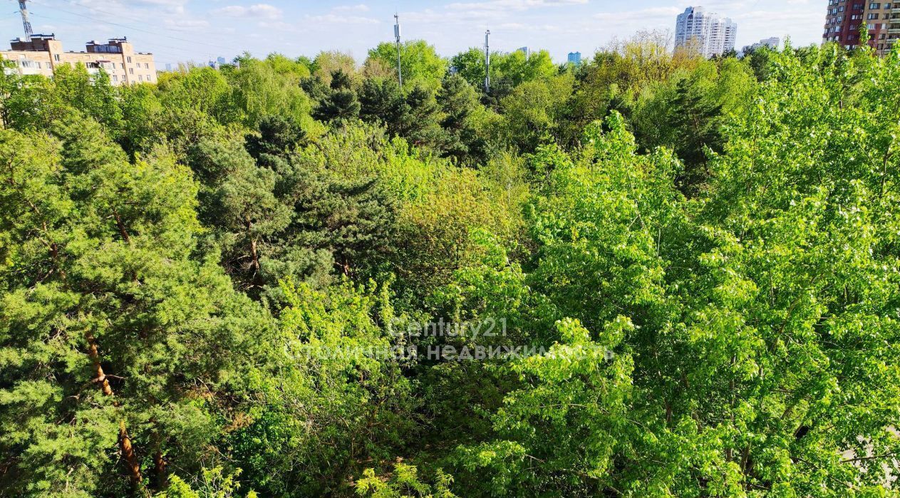 квартира г Москва метро Сходненская ул Лодочная 31к/4 фото 2