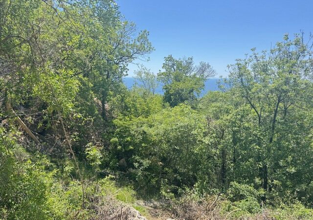 земля г Ялта г Алупка пгт Голубой Залив фото