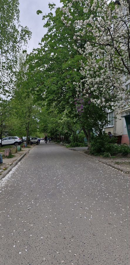 квартира р-н Жуковский г Жуковка пер Мальцева 3 фото 2