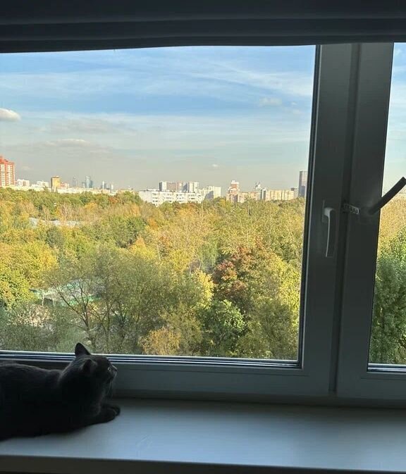квартира г Москва метро Кунцевская ул Коцюбинского 10 фото 23