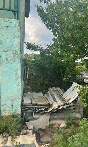 снт Агава фото