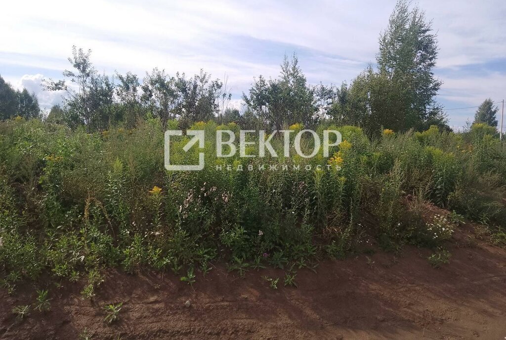 земля г Кострома коттеджный поселок «Первый» проезд Боговаровский 1 фото 1
