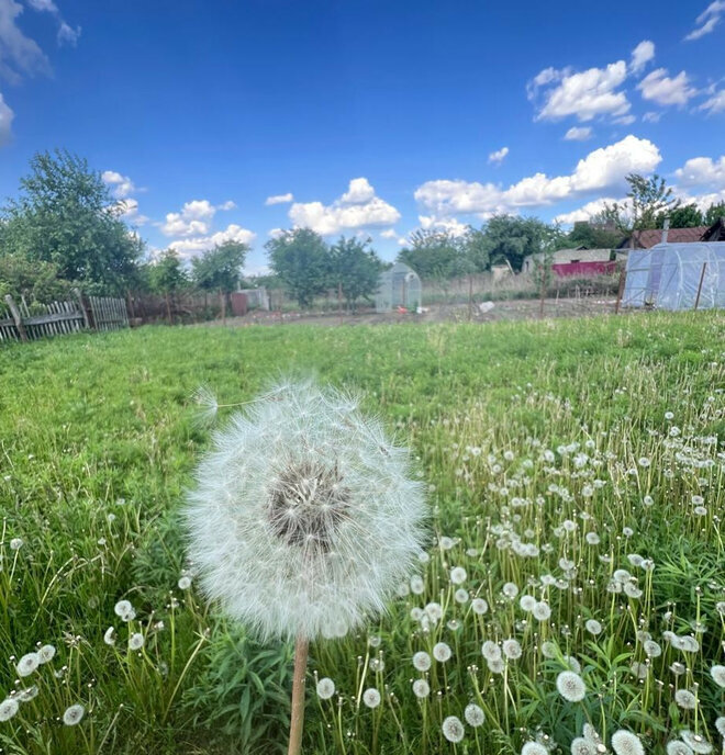 дом г Орел ул Лужковская фото 4