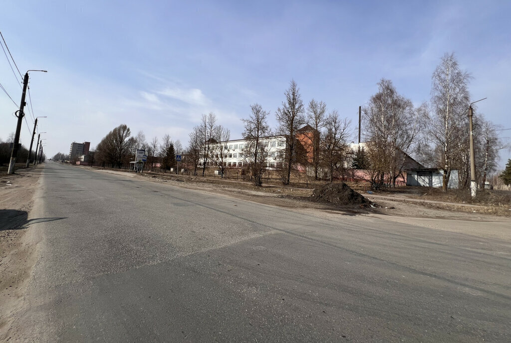 земля г Брянск п Большое Полпино ул Российская фото 6