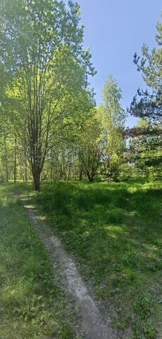 земля д Гавриловка 78 фото